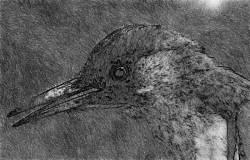 Weedpecker : Weedpecker (Demo)